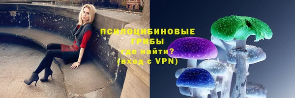 ПСИЛОЦИБИНОВЫЕ ГРИБЫ Заводоуковск