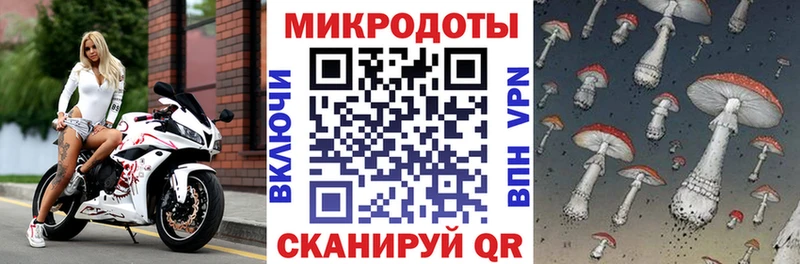 Псилоцибиновые грибы GOLDEN TEACHER Спасск-Дальний